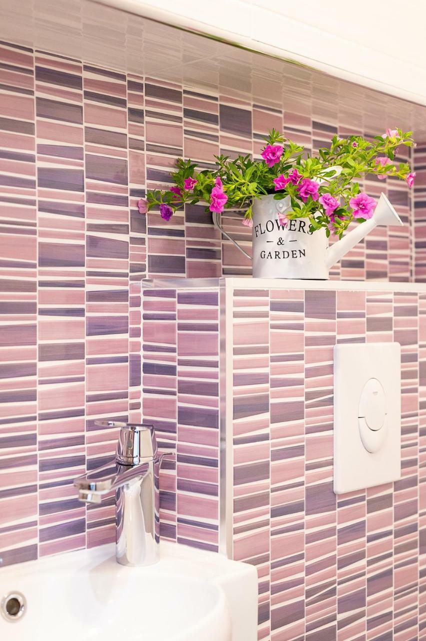 Apartment Auretta Novigrad  Zewnętrze zdjęcie