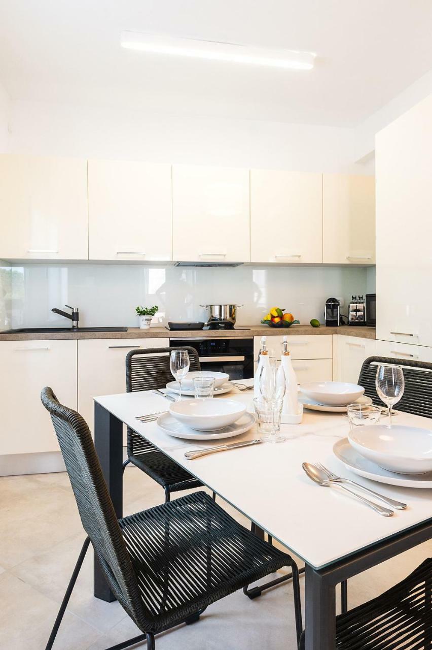 Apartment Auretta Novigrad  Zewnętrze zdjęcie