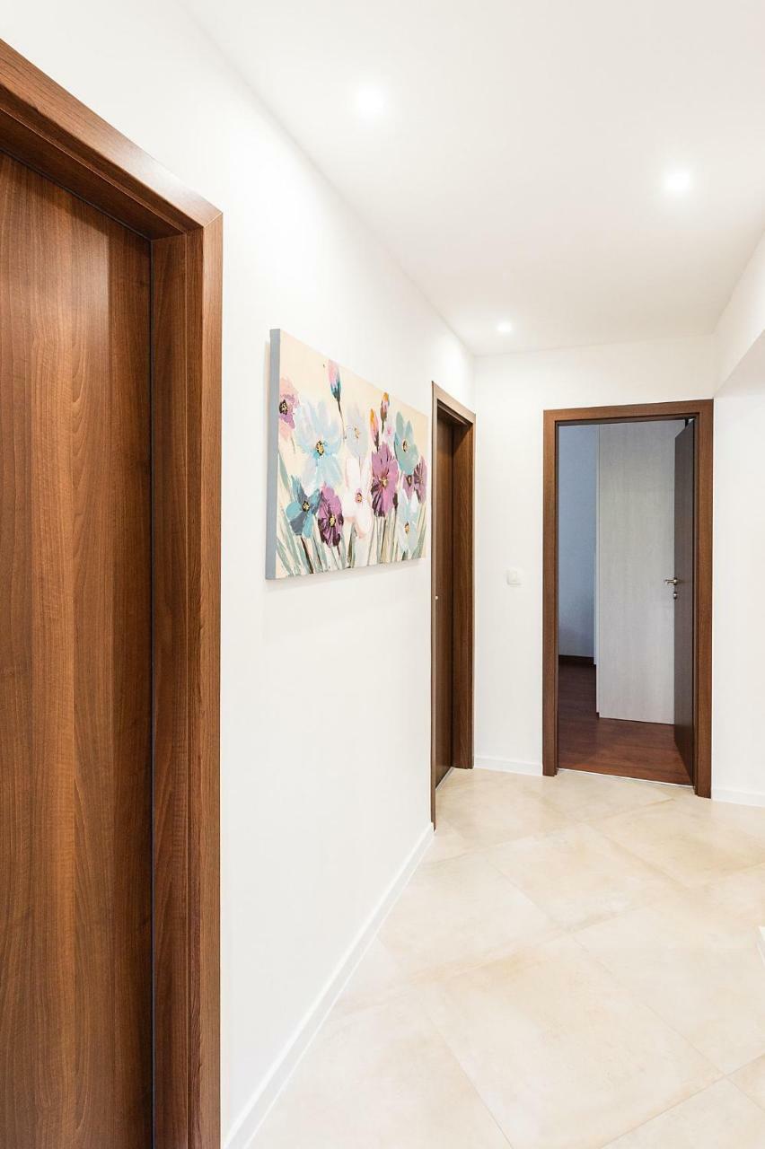 Apartment Auretta Novigrad  Zewnętrze zdjęcie