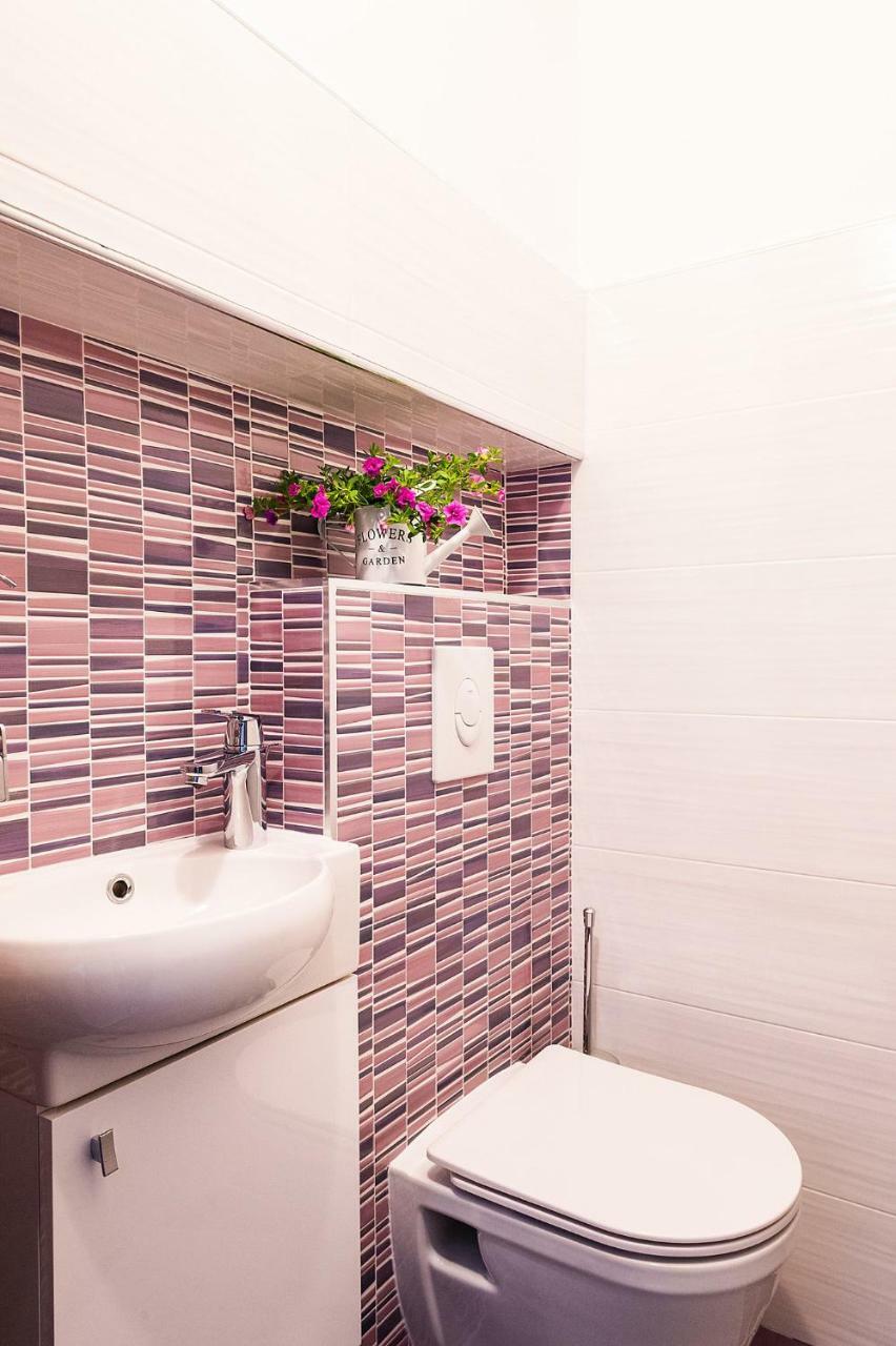 Apartment Auretta Novigrad  Zewnętrze zdjęcie