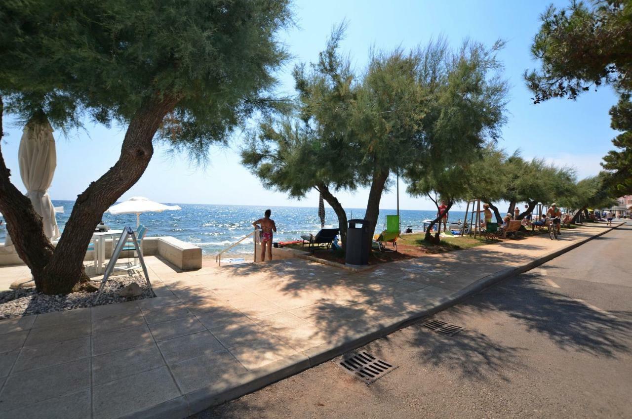 Apartment Auretta Novigrad  Zewnętrze zdjęcie